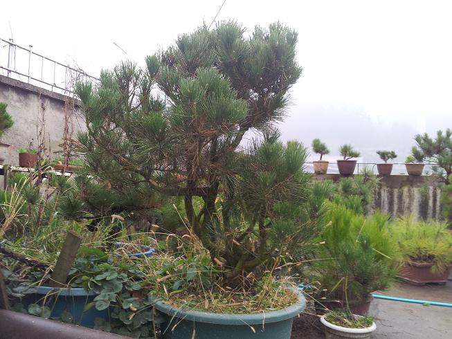 20121124_165730.jpg