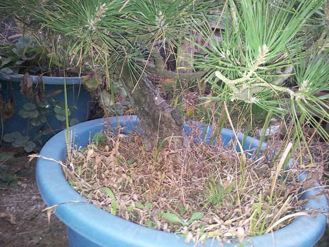 20121203_081456.jpg