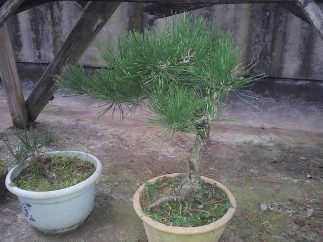 20121203_081525.jpg