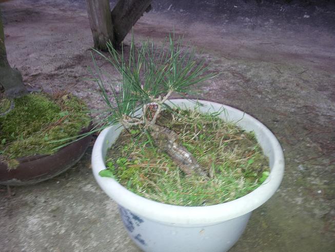 20121203_081537.jpg