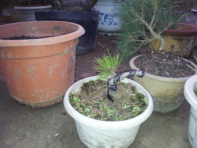 20121203_081614.jpg