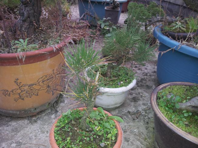 20121203_081754.jpg