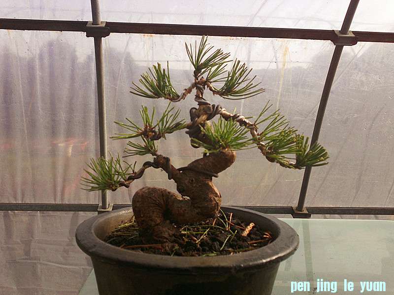 201212042010_.jpg
