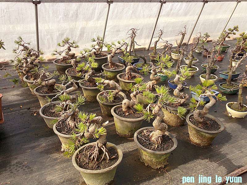 201212062030_.jpg