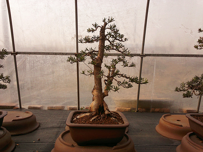 201212072031_.jpg