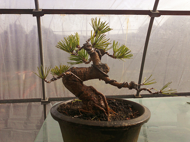201212042007_副本.jpg