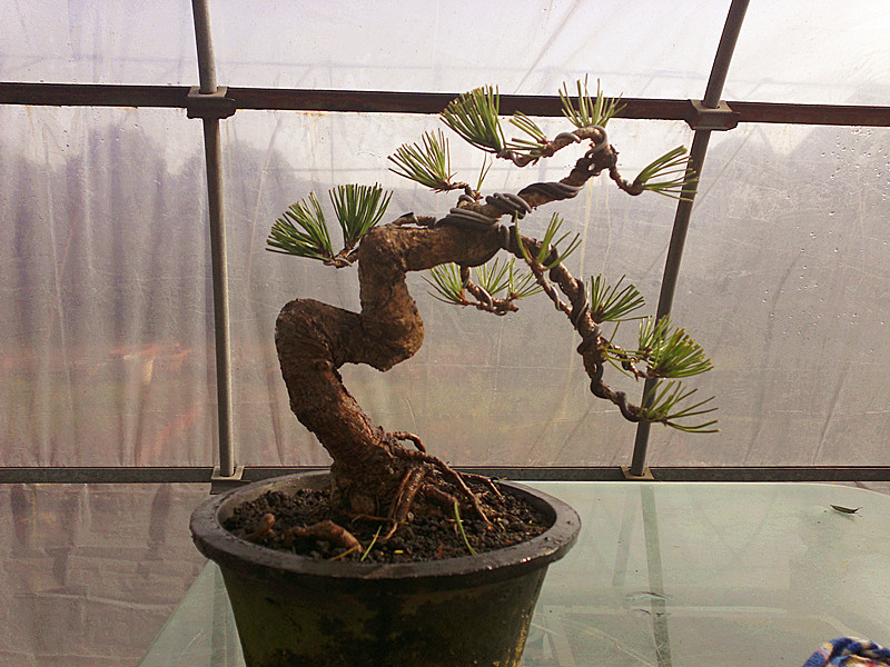 201212042011_.jpg