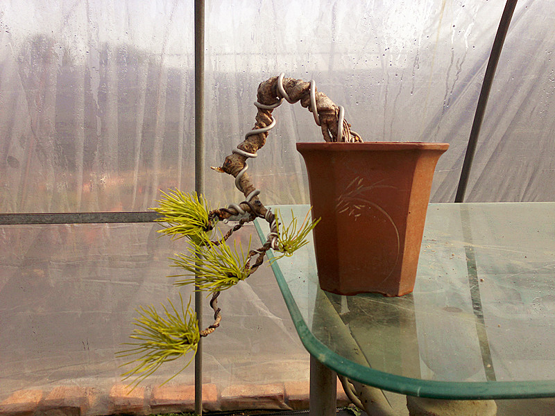201212062029_.jpg