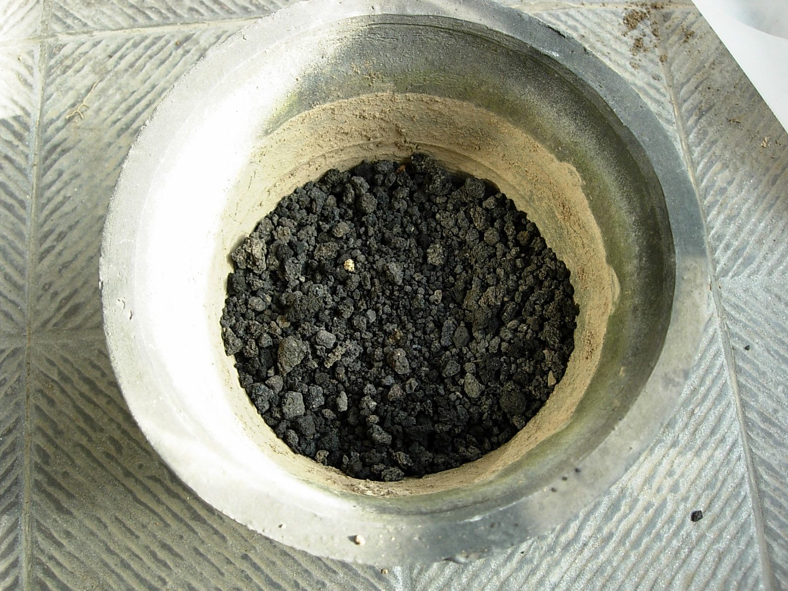 DSCN8695_conew1.jpg