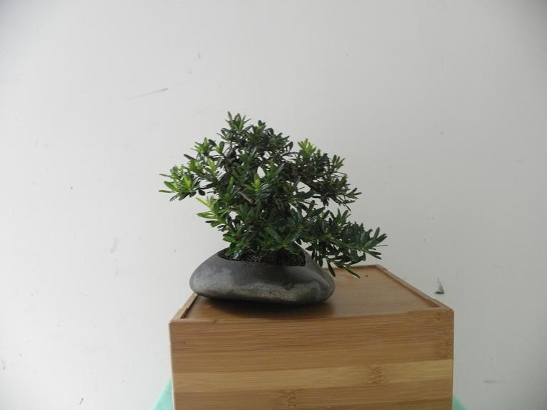 PC082442.JPG