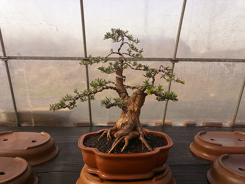 201212041999_.jpg