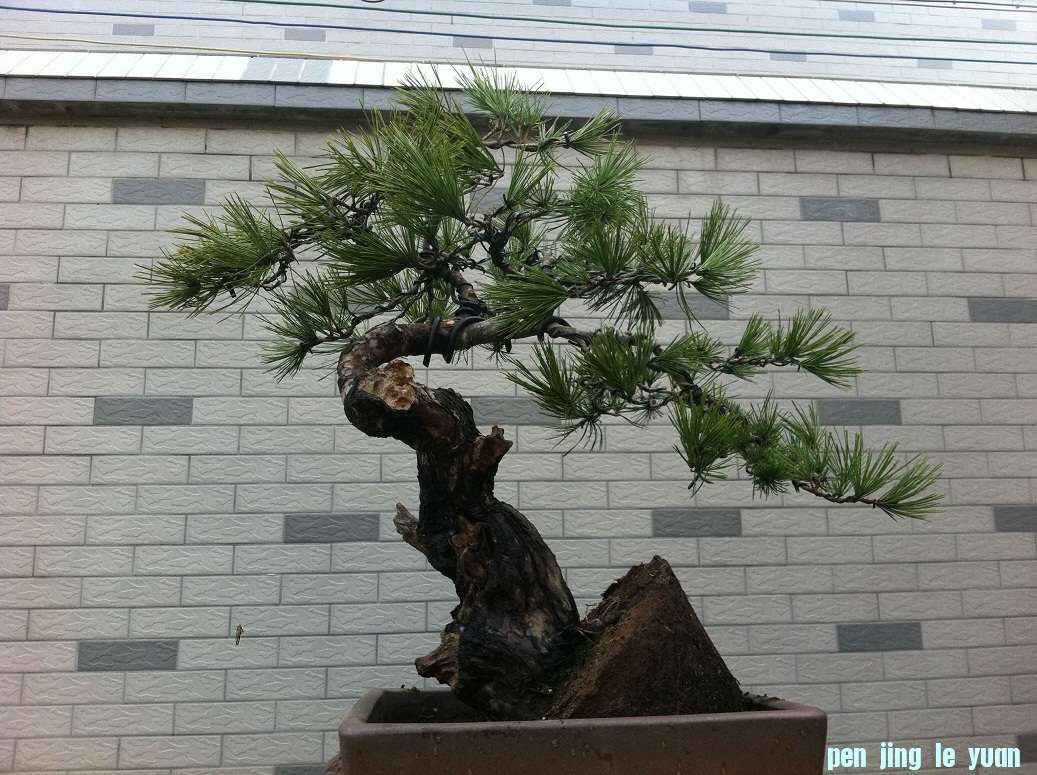 20121126 004.JPG