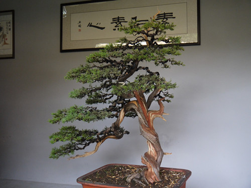 P1000509_.jpg