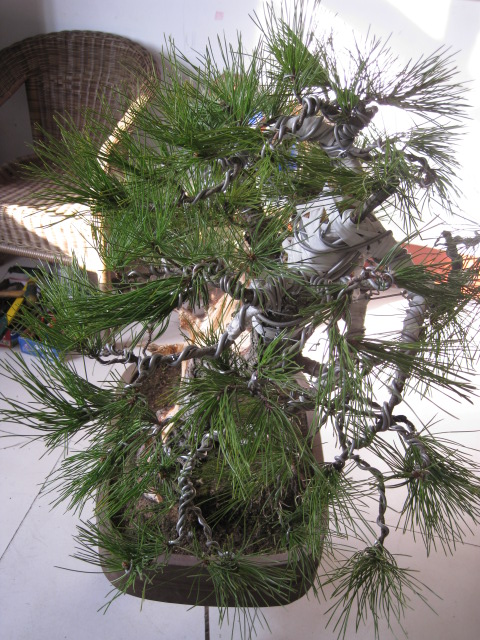 IMG_6693.JPG