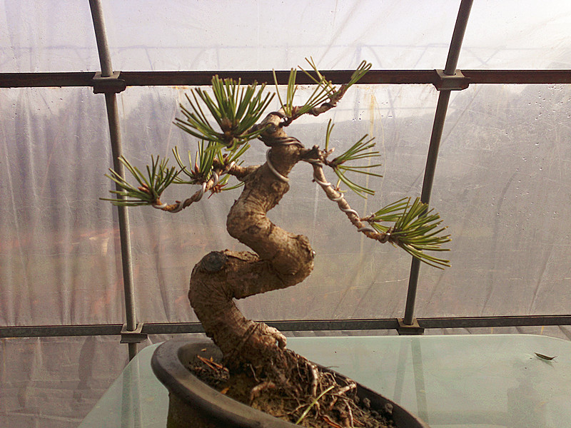 201212042017_.jpg