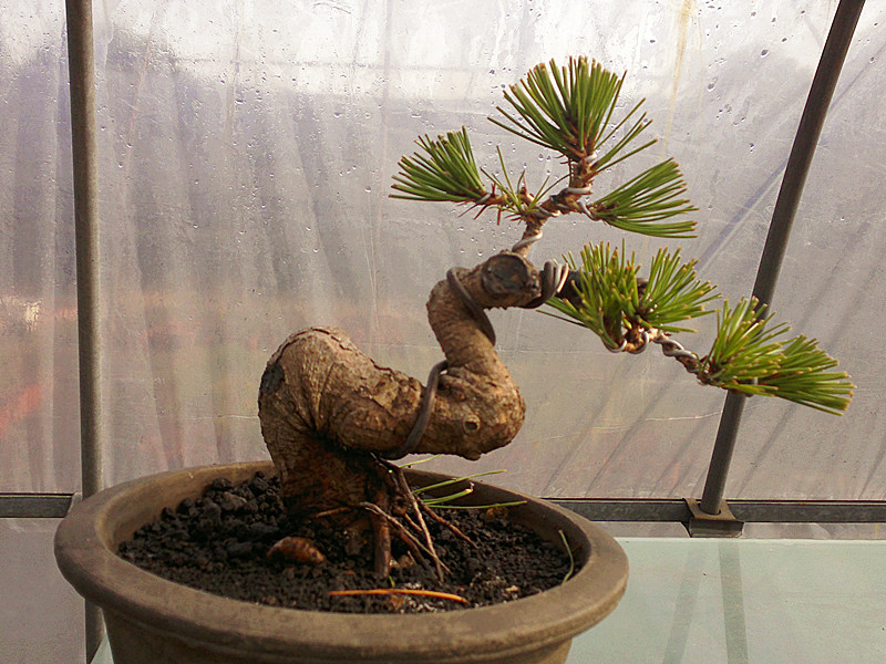 201212062024_.jpg
