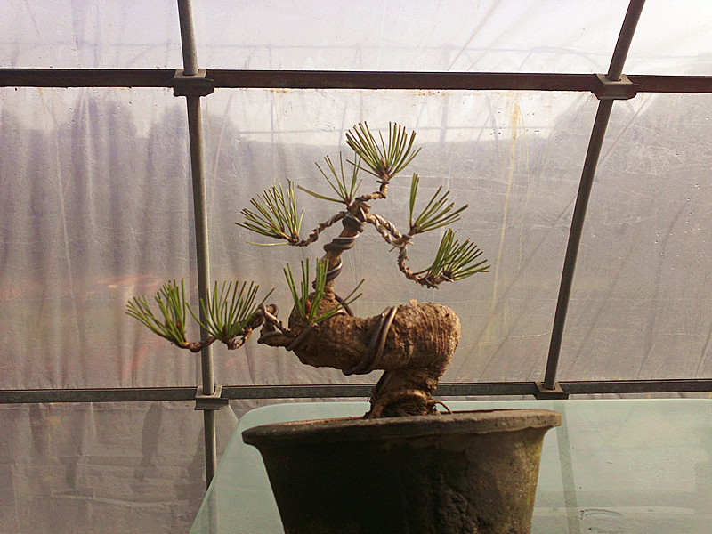 201212042016_.jpg