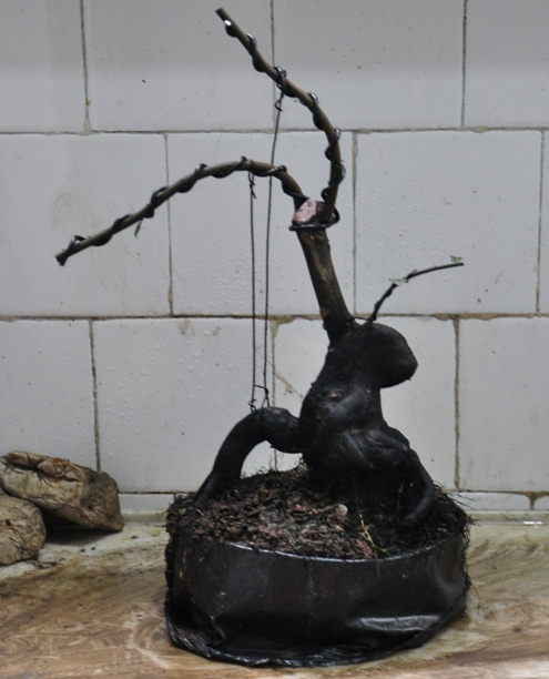 DSC_0004.JPG