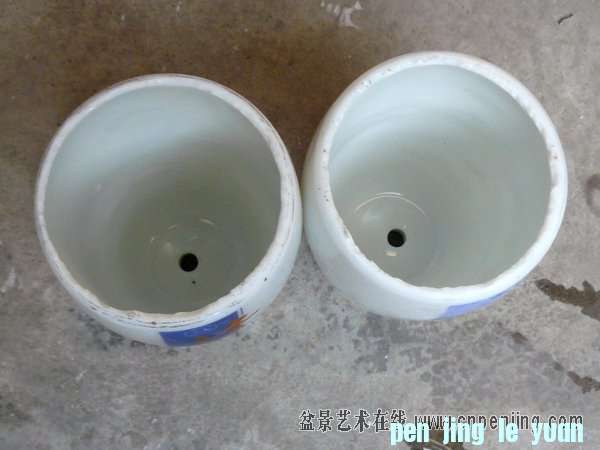 213729n7ms6hn7mgt45gee.jpg