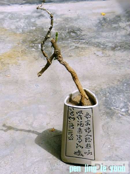 154722xfopom0ndxlpx45o.jpg