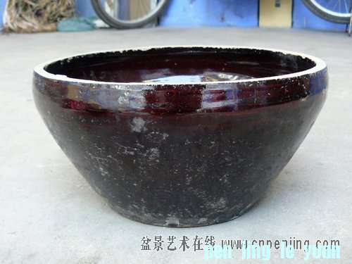 120028zcoo3crgip7gqrr4.jpg
