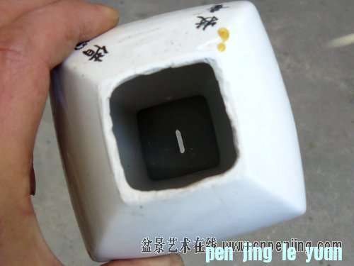 120058pponn3ou9596to99.jpg