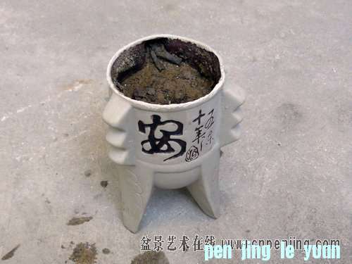 120104w46ay9a469ylr7vq.jpg
