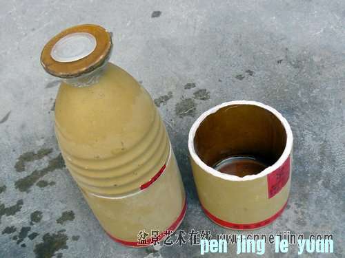 120225vyjv8vpvvr8yepip.jpg