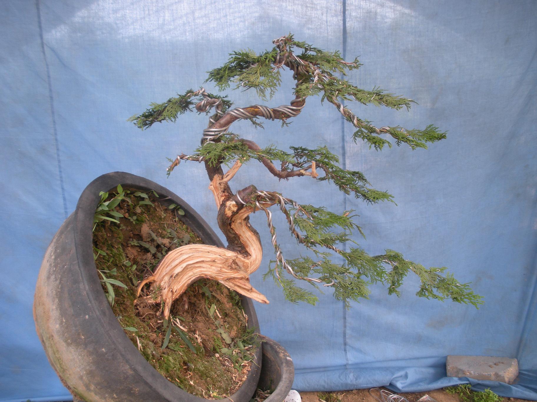2012.11.28 739.jpg