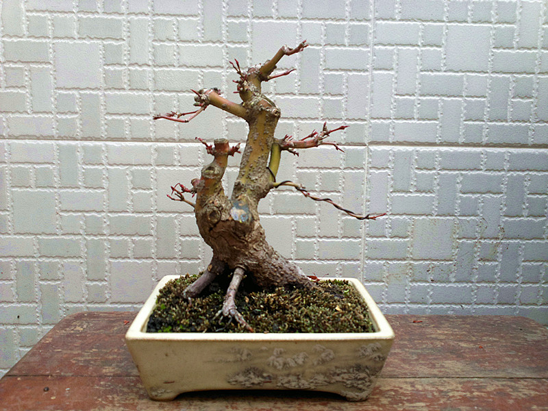 201212122055_.jpg