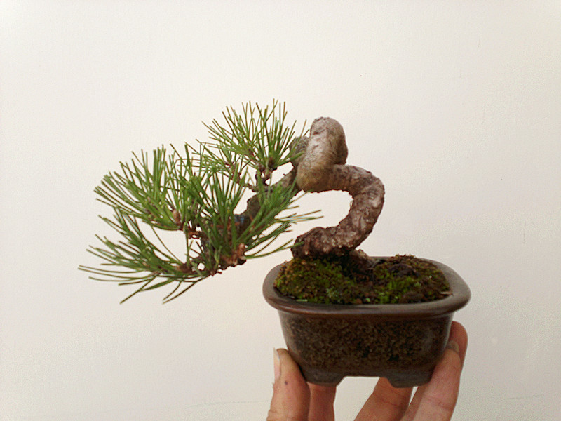 201212122054_.jpg