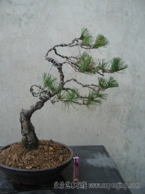 171627ojum66558xplsu5e.jpg