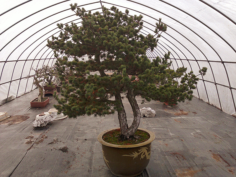 201212132057_.jpg