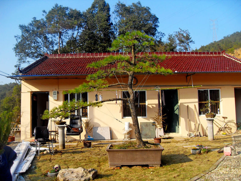 SDC13593.jpg