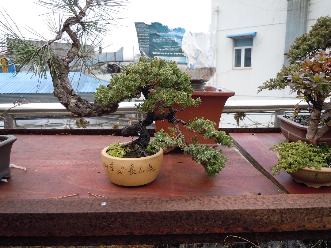 DSCN2052.jpg