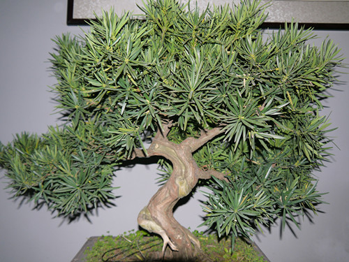 P1000628_.jpg