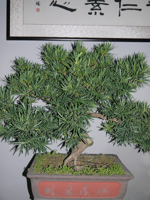 p1000631_.jpg