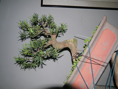 p1000645_.jpg