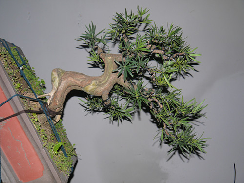 p1000648_.jpg