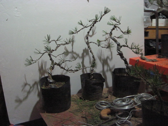 12-16 001.jpg