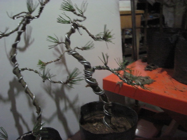 12-16 005.jpg