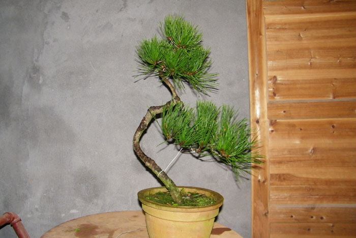 100_2131.jpg