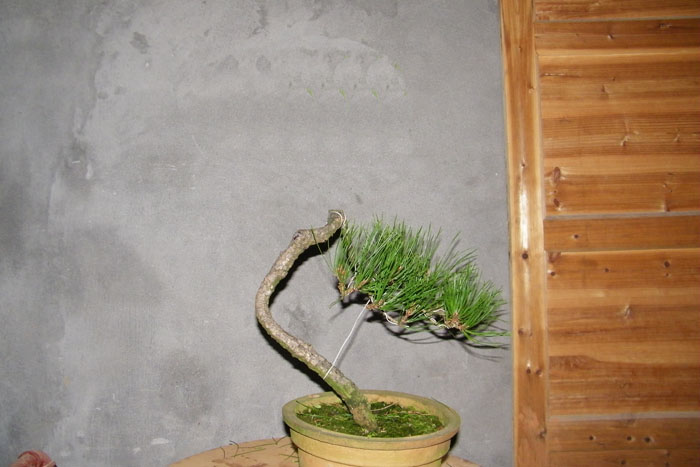 100_2132.jpg