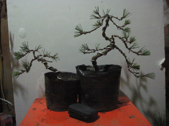 12-17 001.jpg