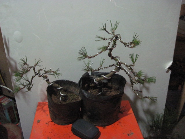 12-17 002.jpg