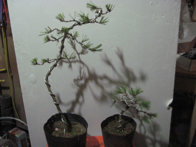 12-17 003.jpg