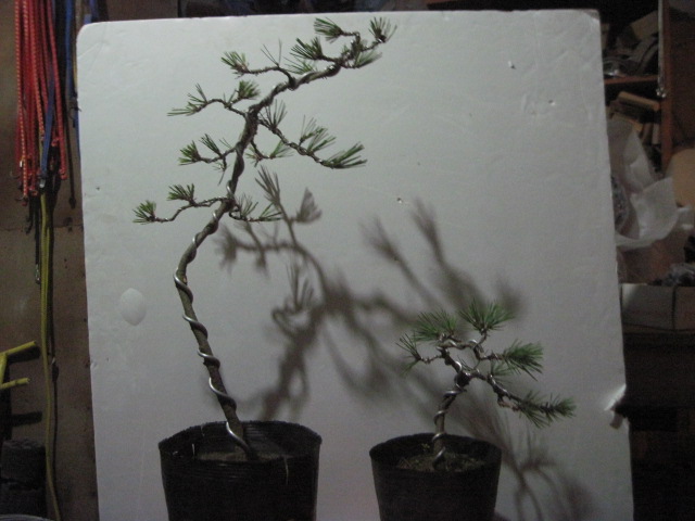 12-17 004.jpg