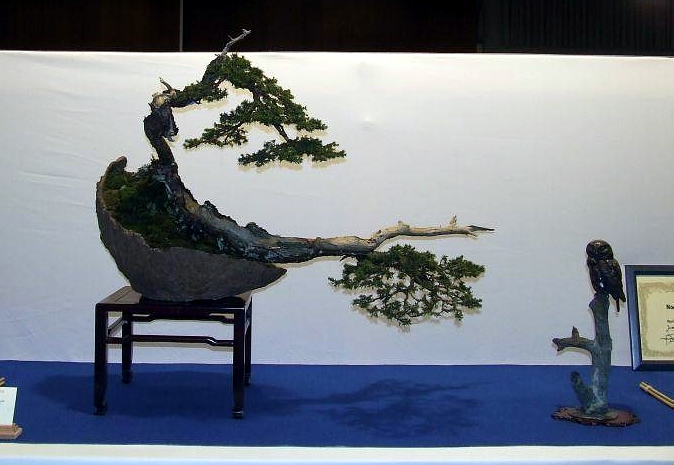 Noelanders Trophy IX 2008 (25).jpg