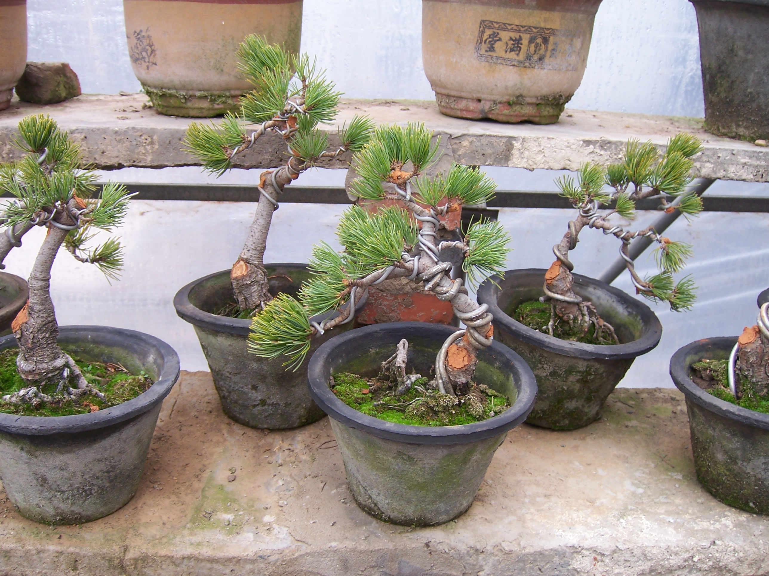 100_2274.JPG