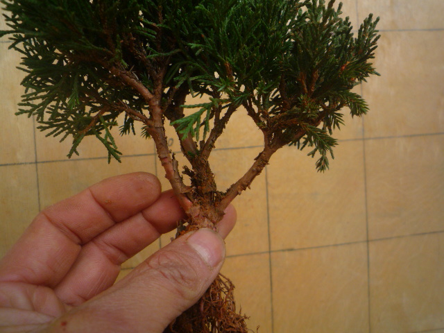 P1070127.JPG